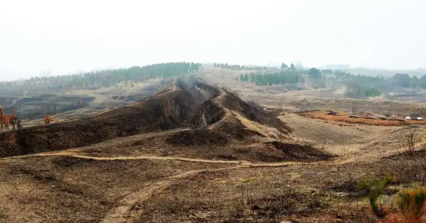 清明將至嚴防山火，輸電線路防山火在線監測裝置筑牢山林間的電力安全防線